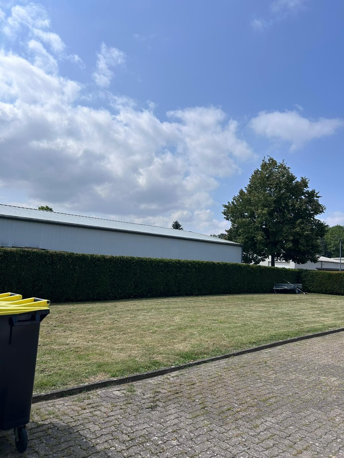 Rasenpflege